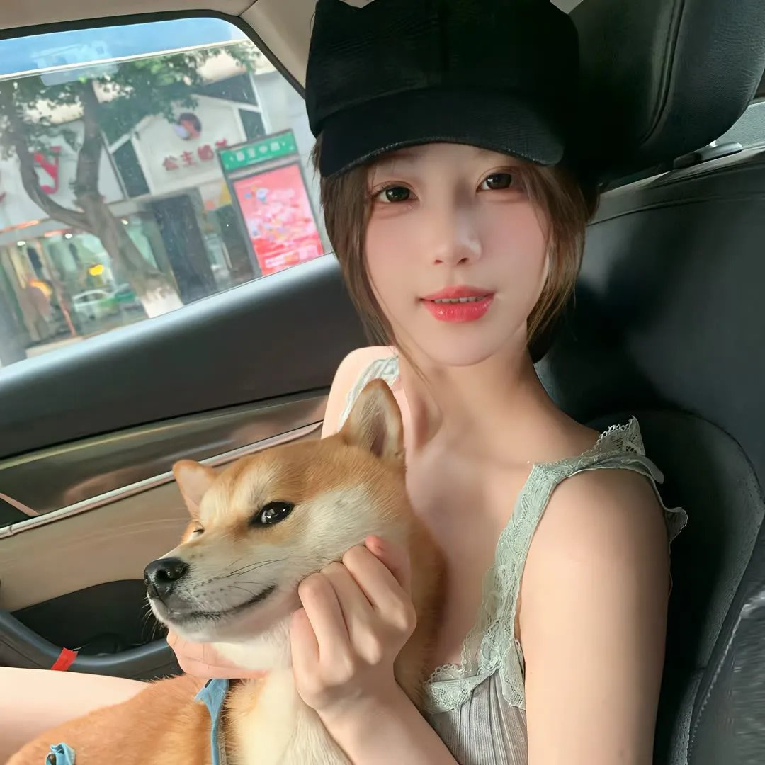 沙漠驼影